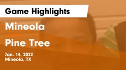 Mineola  vs Pine Tree  Game Highlights - Jan. 14, 2022
