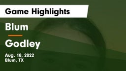 Blum  vs Godley  Game Highlights - Aug. 18, 2022