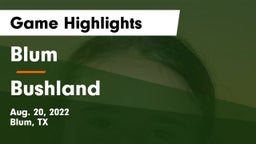 Blum  vs Bushland  Game Highlights - Aug. 20, 2022