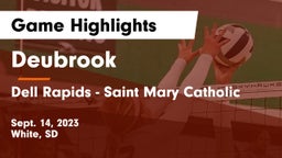 Deubrook  vs Dell Rapids - Saint Mary Catholic  Game Highlights - Sept. 14, 2023