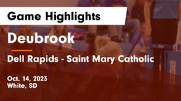 Deubrook  vs Dell Rapids - Saint Mary Catholic  Game Highlights - Oct. 14, 2023