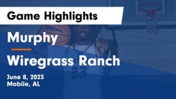 Murphy  vs Wiregrass Ranch  Game Highlights - June 8, 2023