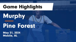 Murphy  vs Pine Forest  Game Highlights - May 31, 2024