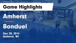 Amherst  vs Bonduel  Game Highlights - Dec 20, 2016