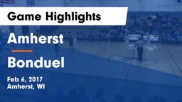 Amherst  vs Bonduel  Game Highlights - Feb 6, 2017