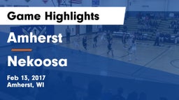 Amherst  vs Nekoosa Game Highlights - Feb 13, 2017