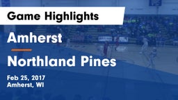 Amherst  vs Northland Pines  Game Highlights - Feb 25, 2017