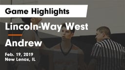 Lincoln-Way West  vs Andrew  Game Highlights - Feb. 19, 2019