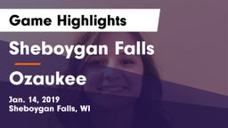 Sheboygan Falls  vs Ozaukee  Game Highlights - Jan. 14, 2019