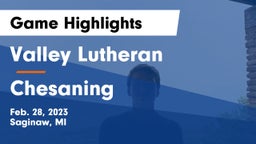 Valley Lutheran  vs Chesaning  Game Highlights - Feb. 28, 2023