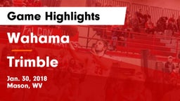 Wahama  vs Trimble  Game Highlights - Jan. 30, 2018