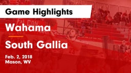 Wahama  vs South Gallia Game Highlights - Feb. 2, 2018