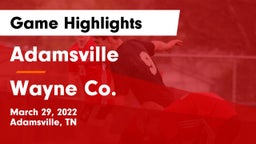 Adamsville  vs Wayne Co. Game Highlights - March 29, 2022