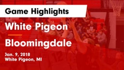 White Pigeon  vs Bloomingdale  Game Highlights - Jan. 9, 2018