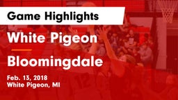 White Pigeon  vs Bloomingdale  Game Highlights - Feb. 13, 2018