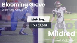 Matchup: Blooming Grove vs. Mildred  2017