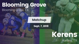 Matchup: Blooming Grove vs. Kerens  2018
