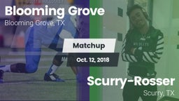 Matchup: Blooming Grove vs. Scurry-Rosser  2018