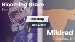 Matchup: Blooming Grove vs. Mildred  2018