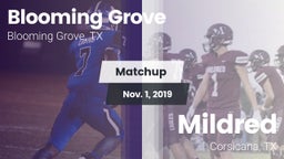Matchup: Blooming Grove vs. Mildred  2019