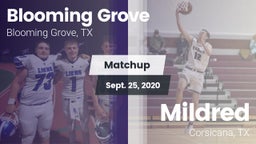 Matchup: Blooming Grove vs. Mildred  2020