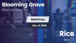 Matchup: Blooming Grove vs. Rice  2020