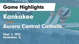 Kankakee  vs Aurora Central Catholic Game Highlights - Sept. 3, 2022