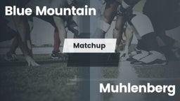 Matchup: Blue Mountain vs. Muhlenberg  2016