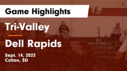 Tri-Valley  vs Dell Rapids  Game Highlights - Sept. 14, 2023