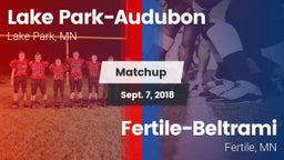 Matchup: Lake Park-Audubon vs. Fertile-Beltrami  2018