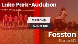 Matchup: Lake Park-Audubon vs. Fosston  2018
