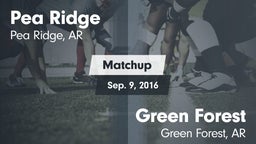Matchup: Pea Ridge vs. Green Forest  2016