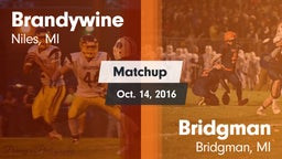 Matchup: Brandywine vs. Bridgman  2016