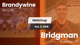 Matchup: Brandywine vs. Bridgman  2018
