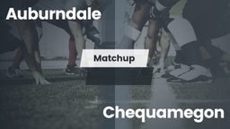 Matchup: Auburndale vs. Chequamegon  2016