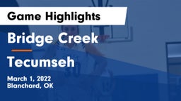 Bridge Creek  vs Tecumseh  Game Highlights - March 1, 2022