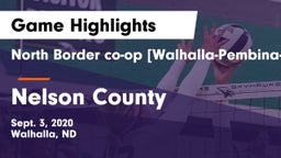 North Border co-op [Walhalla-Pembina-Neche]  vs Nelson County Game Highlights - Sept. 3, 2020