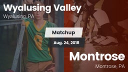 Matchup: Wyalusing Valley vs. Montrose  2018
