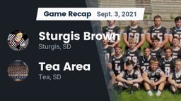 Recap: Sturgis Brown  vs. Tea Area  2021