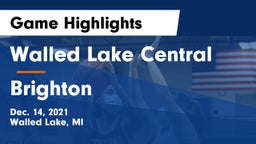 Walled Lake Central  vs Brighton  Game Highlights - Dec. 14, 2021