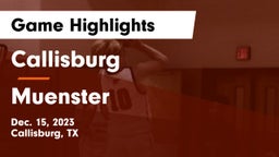 Callisburg  vs Muenster  Game Highlights - Dec. 15, 2023