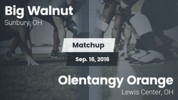 Matchup: Big Walnut vs. Olentangy Orange  2016
