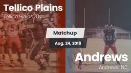 Matchup: Tellico Plains vs. Andrews  2018