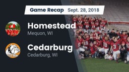 Recap: Homestead  vs. Cedarburg  2018