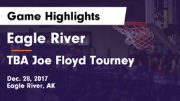 Eagle River  vs TBA Joe Floyd Tourney Game Highlights - Dec. 28, 2017