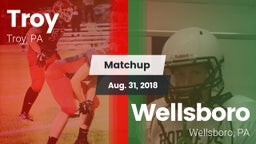 Matchup: Troy vs. Wellsboro  2018