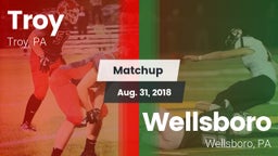 Matchup: Troy vs. Wellsboro  2018