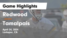 Redwood  vs Tamalpais  Game Highlights - April 24, 2024