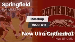 Matchup: Springfield vs. New Ulm Cathedral  2018