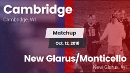 Matchup: Cambridge vs. New Glarus/Monticello  2018